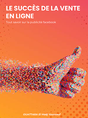 Le succès de la vente en ligne - Deviens un pro de la vente en un clic